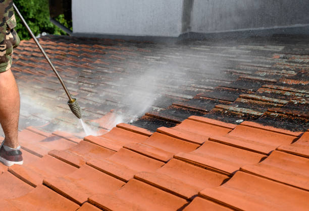 Best Deck Cleaning Services  in Level Plains, AL