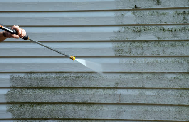 Local Pressure Washing Services in Level Plains, AL