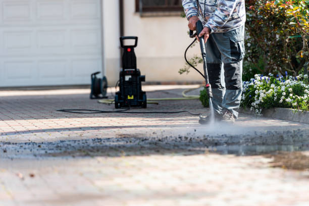 Best Affordable Pressure Washing  in Level Plains, AL