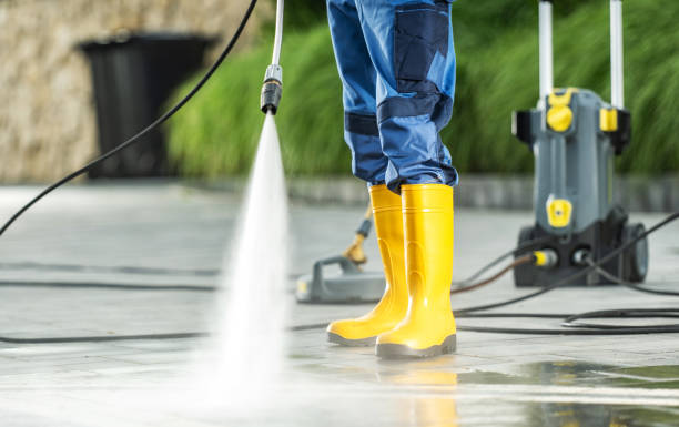 Best Pressure Washing Contractors  in Level Plains, AL