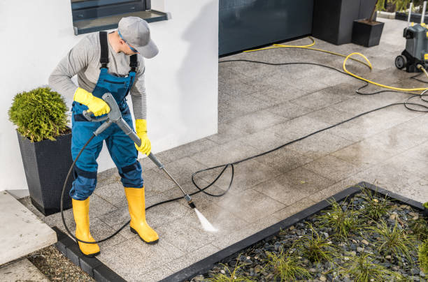 Roof Power Washing Services in Level Plains, AL